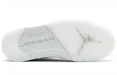 Jordan Air Jordan 5 Retro Pure Platinum