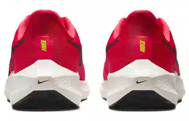 Nike Air Zoom Pegasus 39