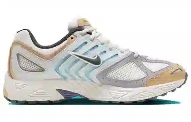 Nike Air Pegasus 2005 White Blue Brown