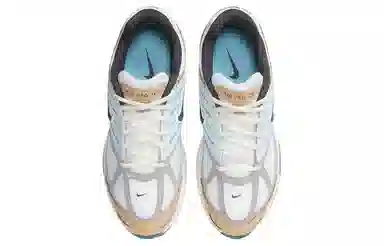 Nike Air Pegasus 2005 White Blue Brown