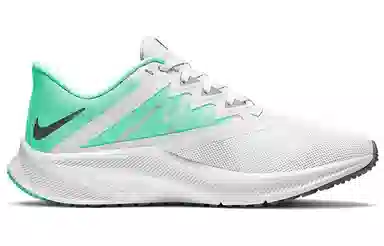 Nike Quest 3