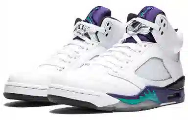Jordan Air Jordan 5 Retro Grape