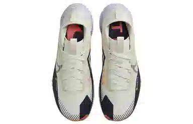 Nike Pegasus Trail 4 GORE-TEX Blue Purple