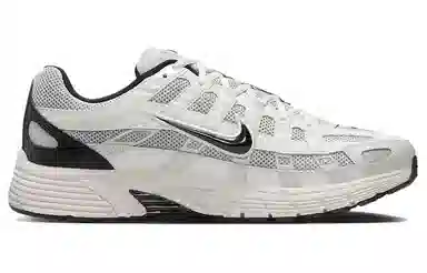 Nike P-6000 Light Silver