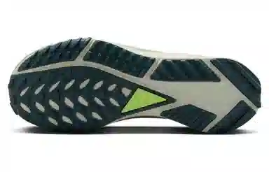 Nike Pegasus Trail 4 Gore-Tex