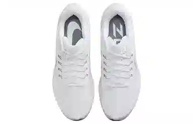 Nike Air Zoom Pegasus 39 White Grey