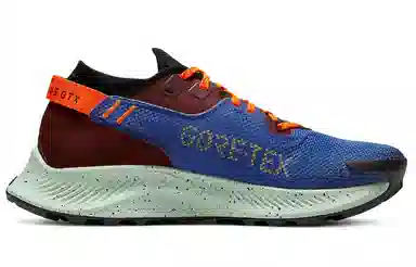 Nike Pegasus Trail 2 GORE-TEX