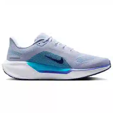 Nike Pegasus 41 Blue