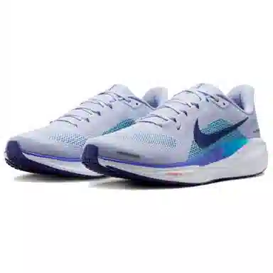 Nike Pegasus 41 Blue
