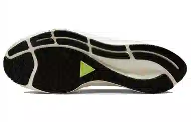 Nike Pegasus 38 Shield