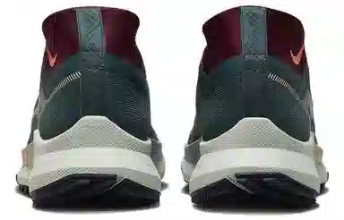 Nike Pegasus Trail 4 GORE-TEX