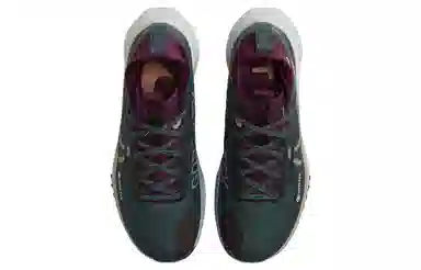 Nike Pegasus Trail 4 GORE-TEX