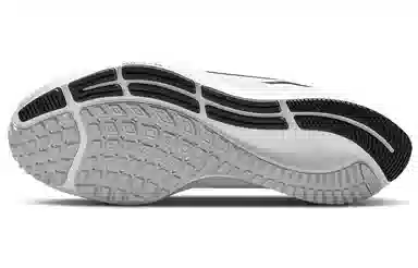 Nike Pegasus 38 White