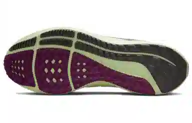 Nike Air Zoom Pegasus 39 White Green