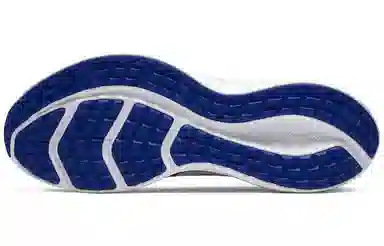 Nike Downshifter 10 Royal Blue
