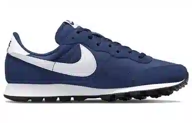 Nike Air Pegasus Low Blue