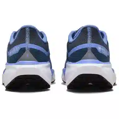 Nike Pegasus 41 GORE-TEX