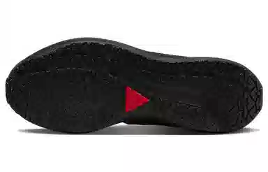 Nike Air Zoom Pegasus 39