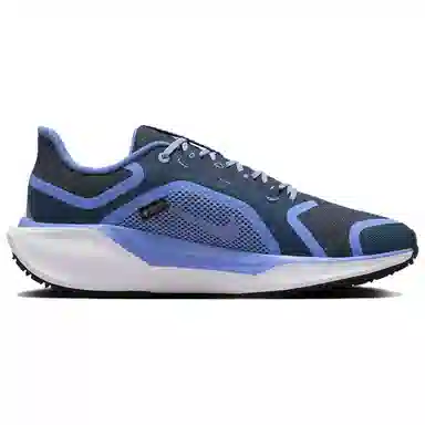 Nike Pegasus 41 GORE-TEX