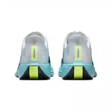 Nike ZoomX Pegasus Plus