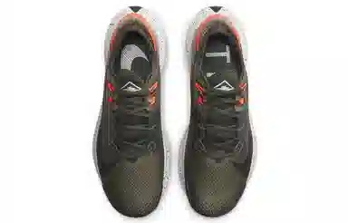 Nike Pegasus Trail 2