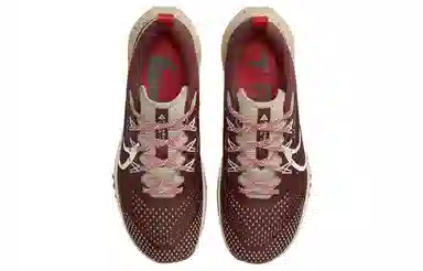 Nike Pegasus Trail 4 Brown