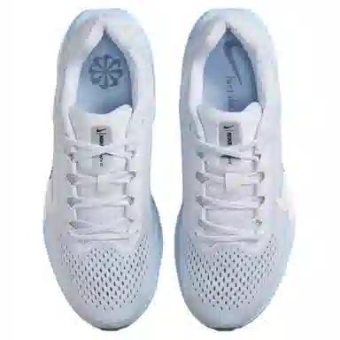 Nike Air Winflo 11 WMNS Blue