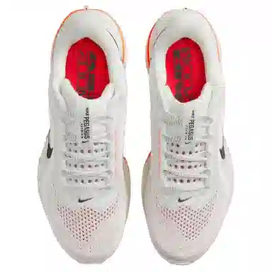 Nike Pegasus Premium
