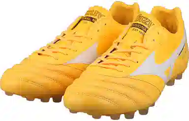 Mizuno Morelia 2 Pro AG