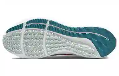 Nike Air Zoom Pegasus 39