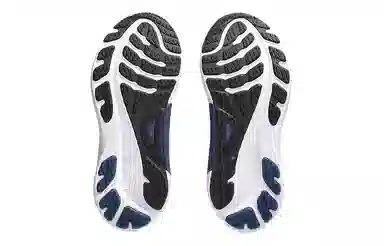 Asics Gel-Kayano 30 White Blue