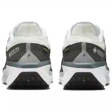 Nike Winflo 11 GORE-TEX