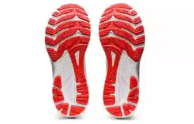 Asics GEL-KAYANO 29 White