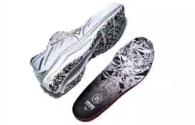 Mizuno Wave Rider 25 White Grey