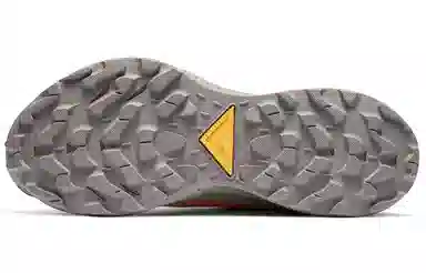 Nike Pegasus Trail 2