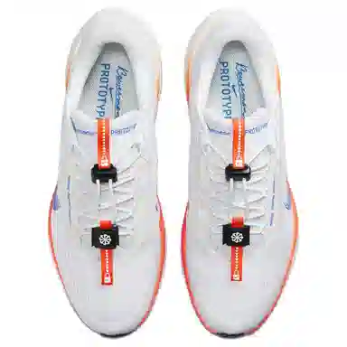 Nike Pegasus Ezion Blueprint