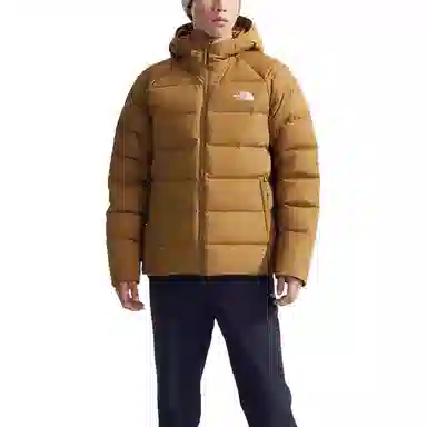 THE NORTH FACE