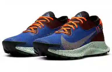 Nike Pegasus Trail 2 GORE-TEX