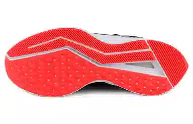 Nike Zoom Winflo 6 Shield