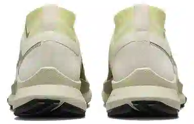 Nike Pegasus Trail 4