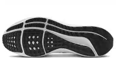 Nike Air Zoom Pegasus 39 Blue