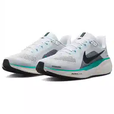 Nike Pegasus 41 White Blue