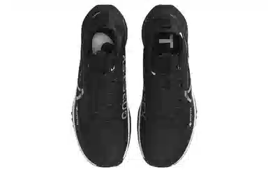 Nike Pegasus Trail 4 Gore-Tex