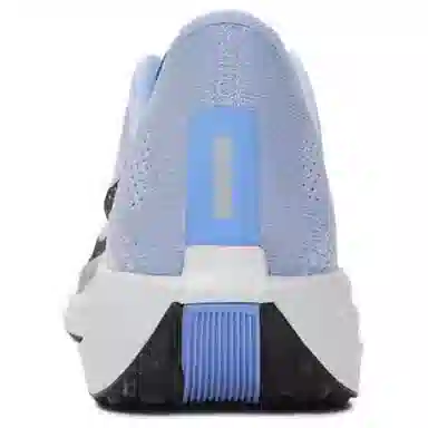 Nike Pegasus Plus Blue