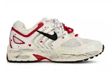 Nike Air Pegasus 2K5