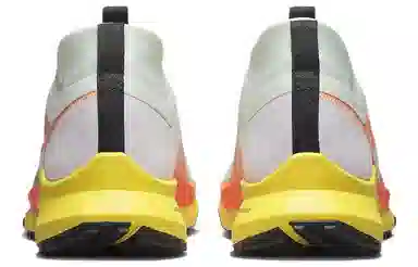 Nike Pegasus Trail 4 Gore-Tex