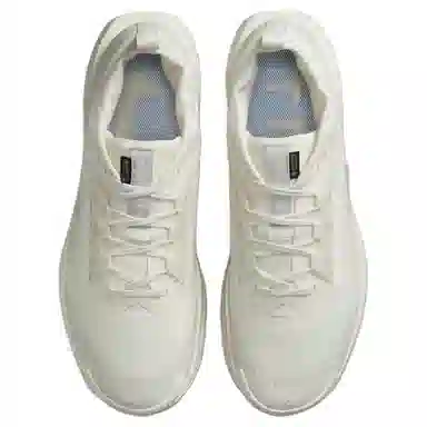 Nike Pegasus Trail 5 Beige