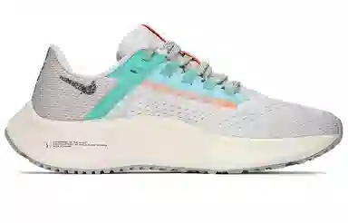 Nike Pegasus 38 White Green