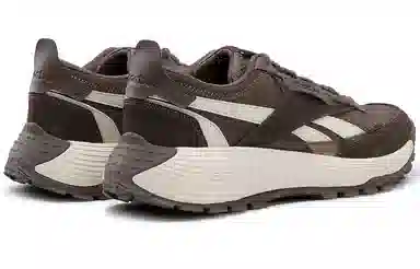 Reebok DMX Hiking Brown