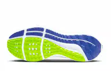 Nike Air Zoom Pegasus 39 GS White